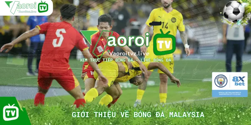 Giới Thiệu Về Bóng Đá Malaysia